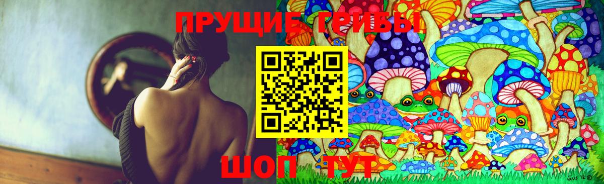 Аша  Псилоцибиновые грибы мицелий  Вход с VPN 
